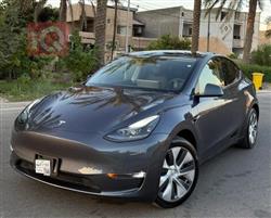 تێسلا مۆدێلی Y